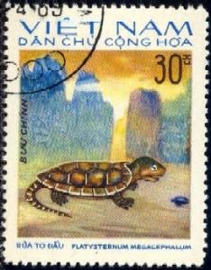 Turtle, Vietnam stamp SC#793 used