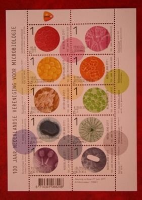 NETHERLANDS 2011 Society for Microbiology MNH Scott# 1390 NVPH V2834-2843