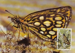 Jersey 1989 Maxicard Sc #507 13p Large checkered skipper butterfly WWF