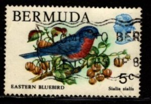 Bermuda - #365 Eastern Bluebird - Used