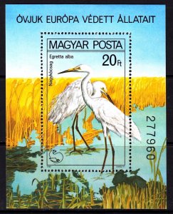 Hungary 1984 Great White Heron Mint MNH Miniature Sheet SC 2665