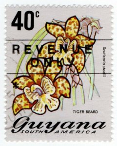 (I.B) British Guiana (Guyana) Revenue : Duty Stamp 40c