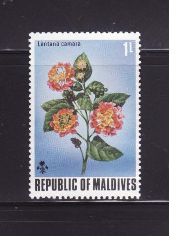 Maldive Islands 455 MNH Flowers, Lantana Camara