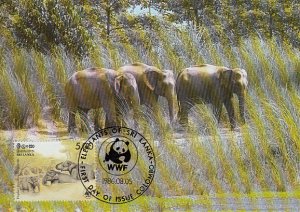 Sri Lanka 1986 Maxicard Sc #803d 5r Asian elephant WWF