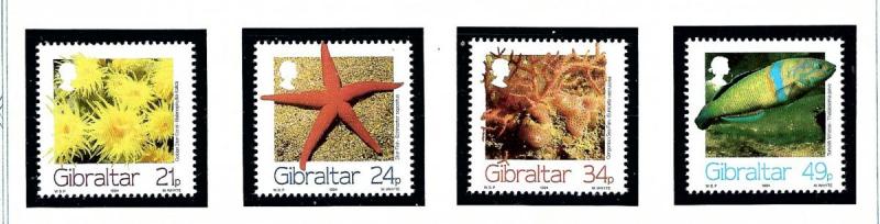 Gibraltar 662-65 MNH 1994 Marine Life