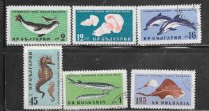 Bulgaria  #1164-1169 Marine Life  (U) CV $6.80