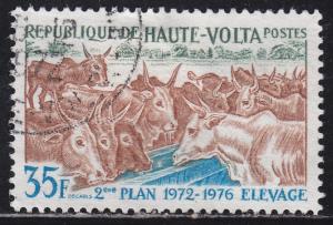 Burkina Faso 278 Domesticated Cattle 1972