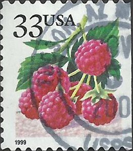 # 3295 USED RASPBERRIES