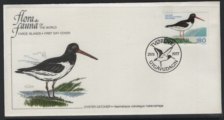 Faroe Islands Sc 29 Oyster Catcher L243