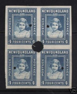 Newfoundland #256ii XF/NH Imperf Security Punches Block