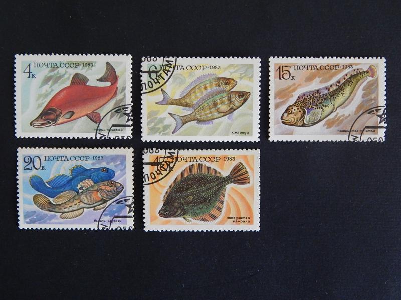 Fish, series, SU, 1983, №90(IR).