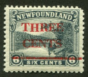 NEWFOUNDLAND #160iii MINT
