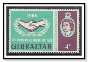 Gibraltar #170 Cooperation Year MNH