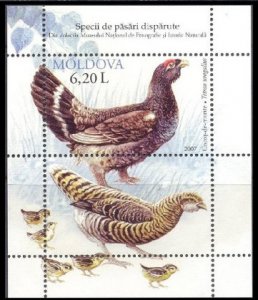 2007 Moldova 594/B94 Birds 5,00 €