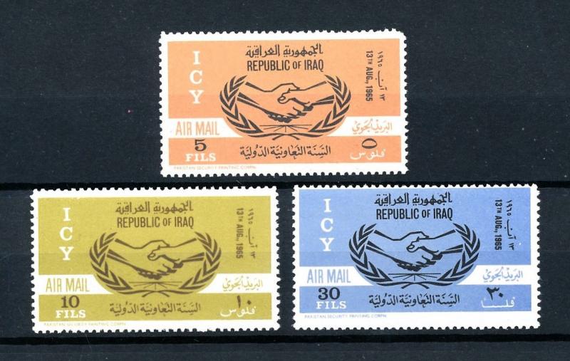 [91181] Iraq Irak 1965 International Cooperation Year  MNH