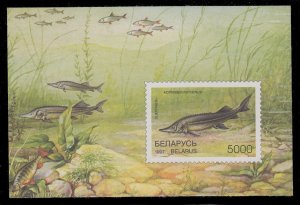 Belarus 208 MNH