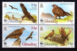 Gibraltar 1996 Birds of Prey - WWF Complete Mint MNH Set Block SC 716