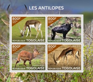 TOGO - 2019 - Antelopes - Perf 4v Sheet - Mint Never Hinged
