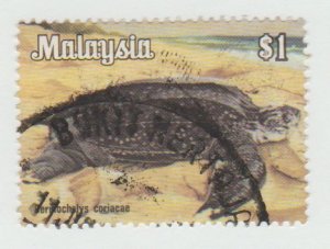 179 Leatherback turtle