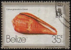 Belize 480 - Used - 35c Sea Snail (1980) +