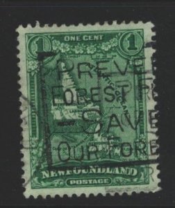 Newfoundland Sc#163 Used