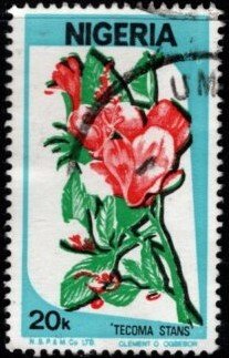 Nigeria - #493 tacoma Stans Flower - Used