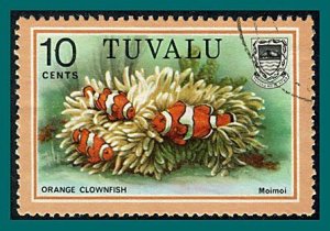 Tuvalu 1979 Fish, 10c used #102,SG111