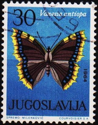 Yugoslavia. 1964 30d S.G.1111 Fine Used