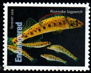 SC# 5799c - (66c) - Endangered Roanoke Logperch - 3 of 20 - Used Off Paper