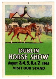 (I.B) Ireland Cinderella : Dublin Horse Show 1965
