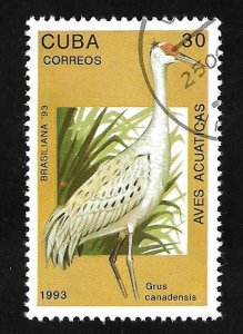 Cuba 1993 - CTO - Scott# 3509