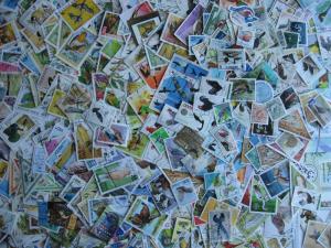 Birds topic 470 different stamps and 6 souvenir sheets a colorful group here! 