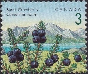 1351 Black Crowberry MNH
