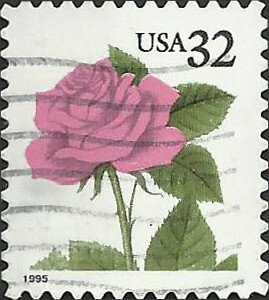 # 2492 USED RED ROSE    