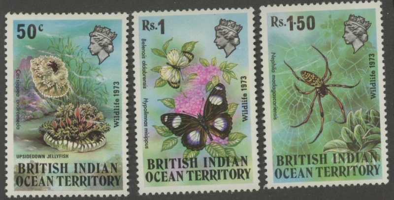 British Indian Ocean Territory 54-6 * mint LH-HR nature (2107 275)