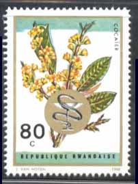 Rwanda ~ #301 ~ Medicinal Plants - Coca ~ MNH