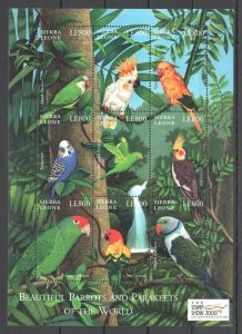 A1210 2000 Sierra Leone Fauna Birds Beautiful Parrots & Parakeets Sh Mnh Stamps