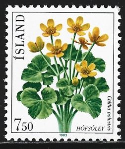 Iceland #567   MNH
