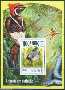 MOZAMBIQUE 2013 ENDANGERED SPECIES  SOUVENIR SHEET MINT NH