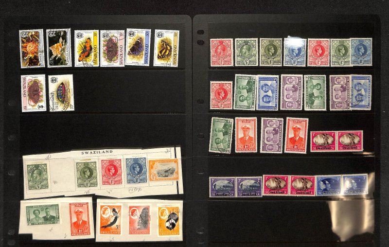 Swaziland Stamp Collection on 11 Scott Specialty Pages, 1889-1967 (BC)