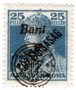 (I.B) Hungary Postal : Romanian Occupation 25f (multiple overprints)