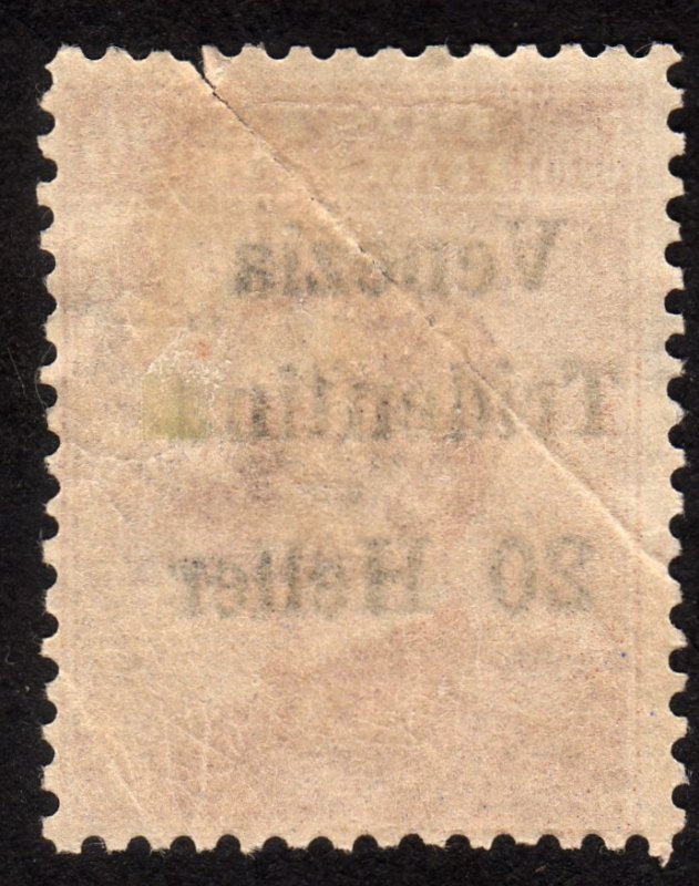 1919 Austria, Italy 20h, MNG creased, Sc N63