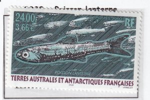 French Southern & Antartic FSAT 2000  - Lantern Fish   -  MNH #  267