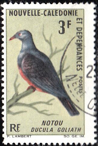 New Caledonia #346 Used