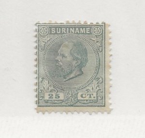 Suriname 1875 25 ct green/blue   MNG