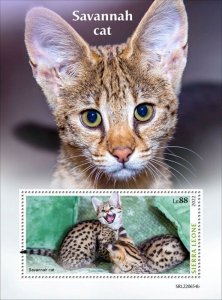 Sierra Leone - 2022 Savannah Cats on Stamps - Stamp Souvenir Sheet - SRL220654b