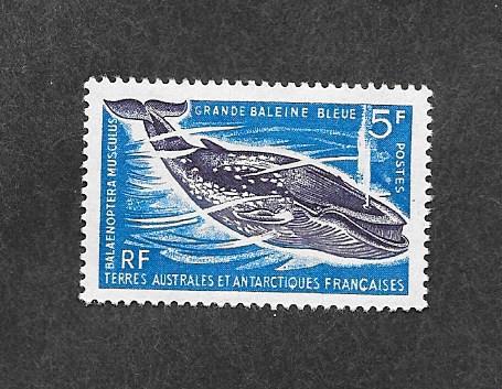 French Southern & Antarctic Territories 25 Mint!