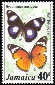 Jamaica 1977 MNH Sc #426 40c Hypolimnus misippus Butterflies