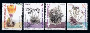 [69953] Macedonia 1999 Flora Flowers Blumen  MNH