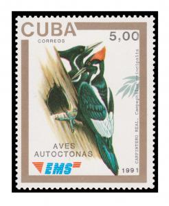 TOP GRADE SPECIAL DELIVERY EMS STAMP SET. CATALOG PRICE $95.50.  TOPIC: BIRD.